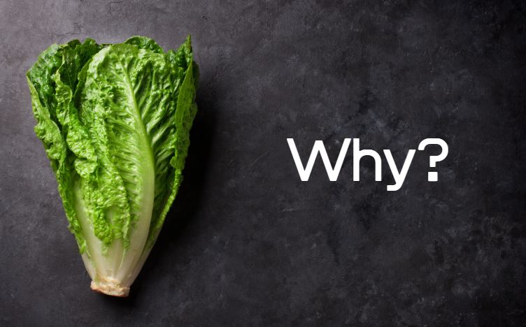 romaine lettuce with the words why