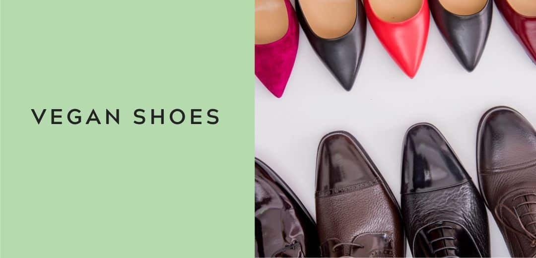 vegan shoes graphic