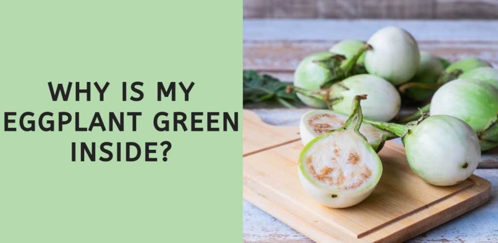 Why Does Eggplant Turn Brown When Cooked? (And How to Fix It)