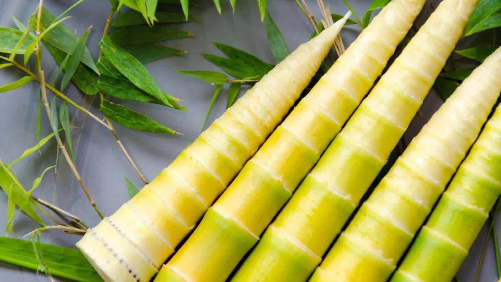 Bamboo Shoots