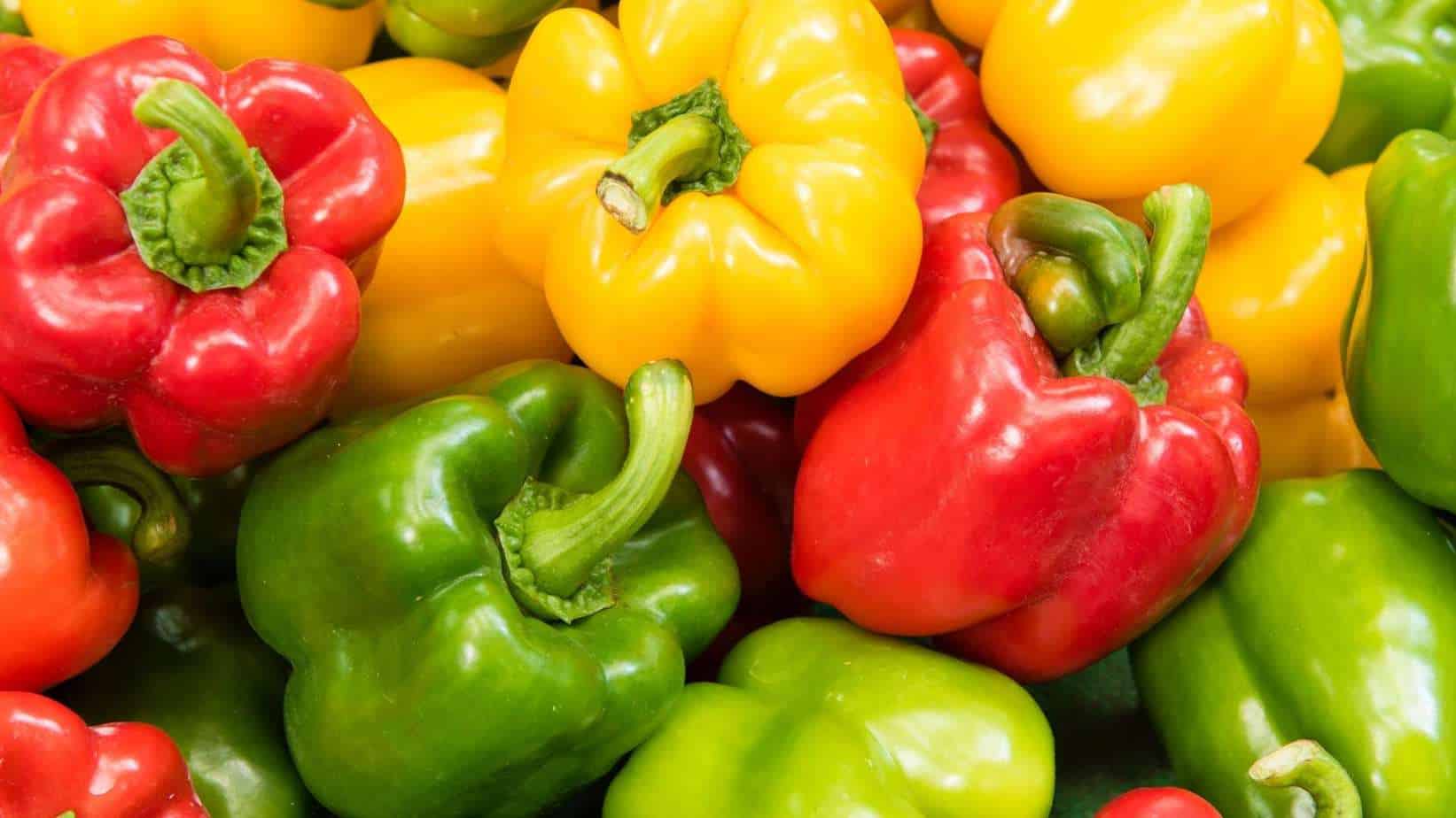 Bell Pepper