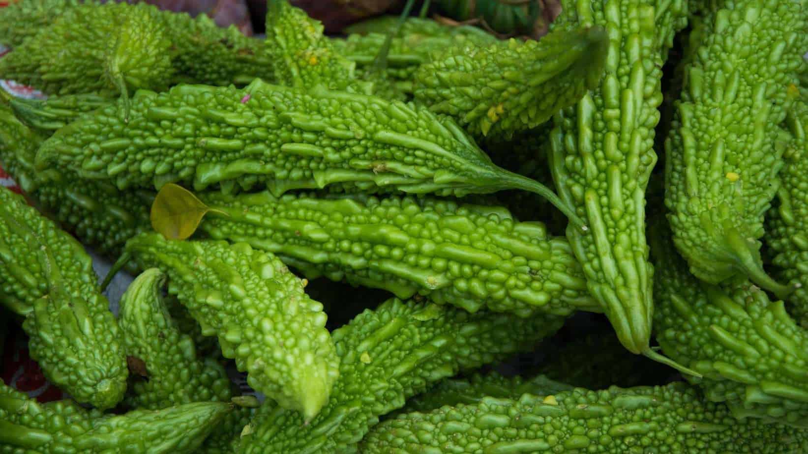 Bitter Melon