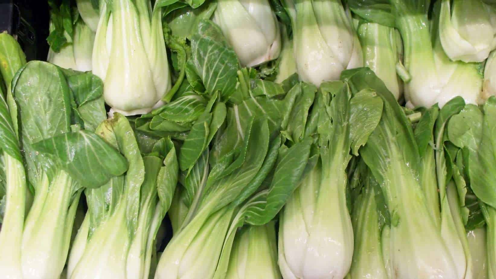 Bok Choy