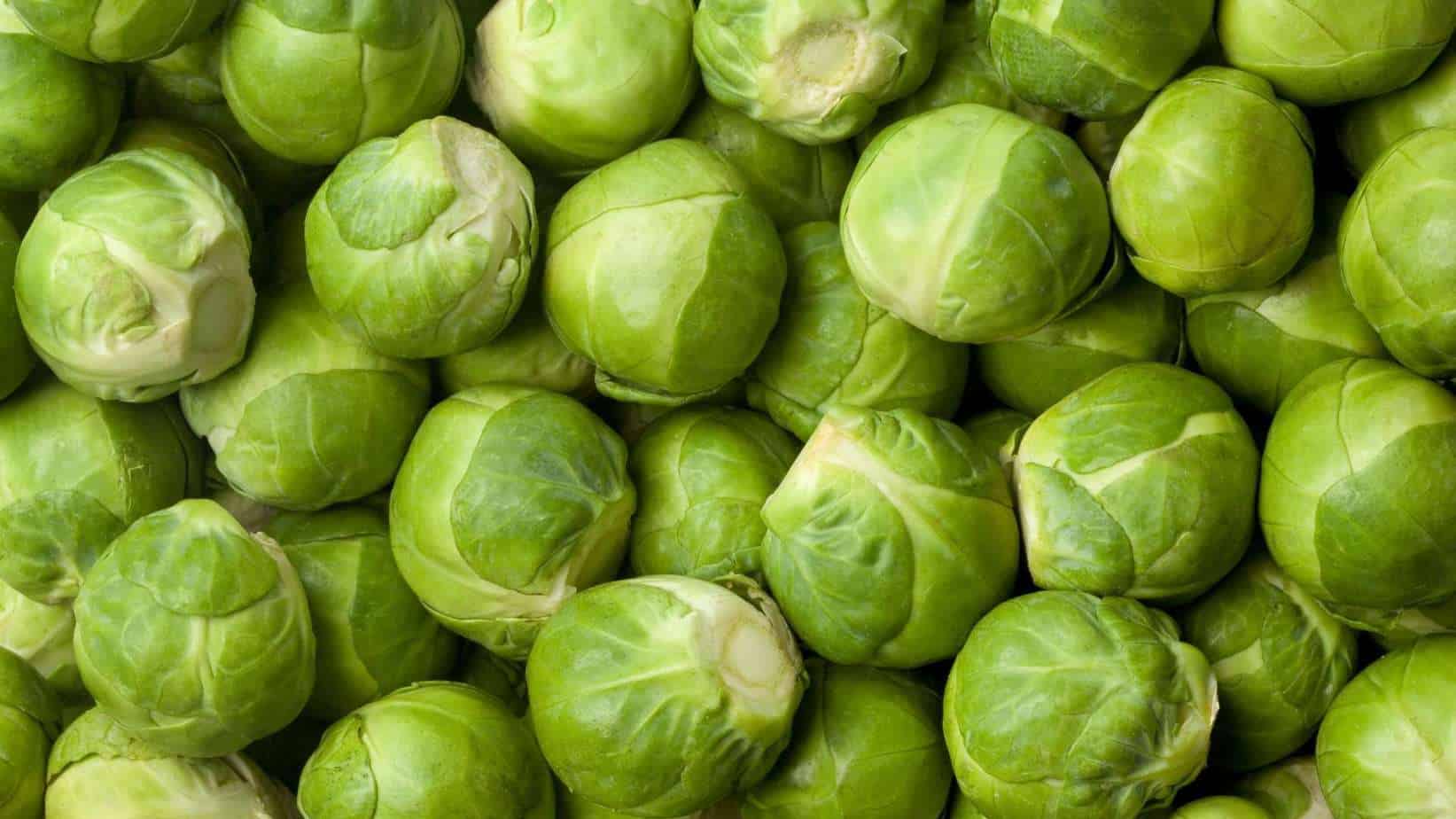 Brussels Sprouts