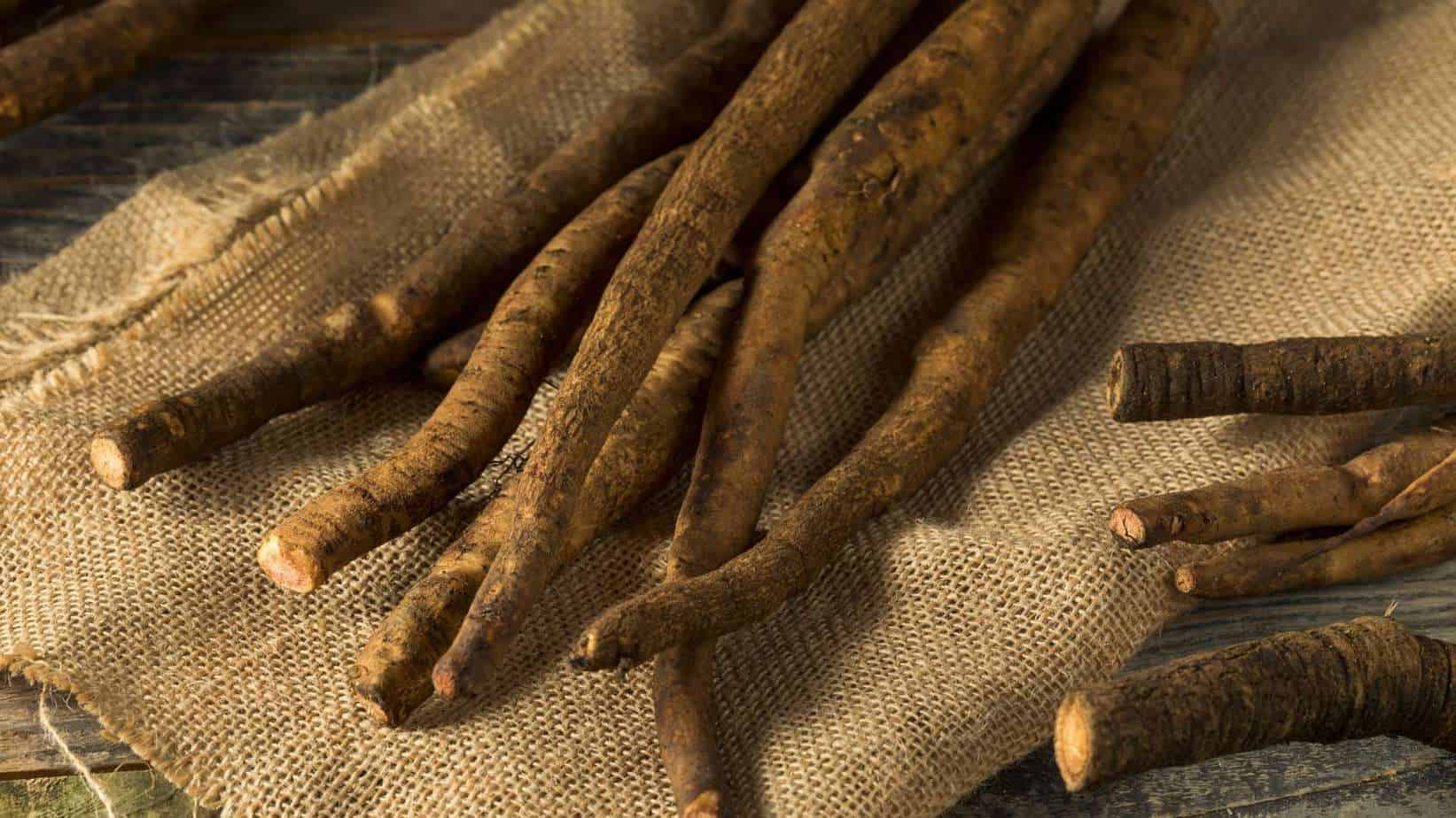 Burdock Root