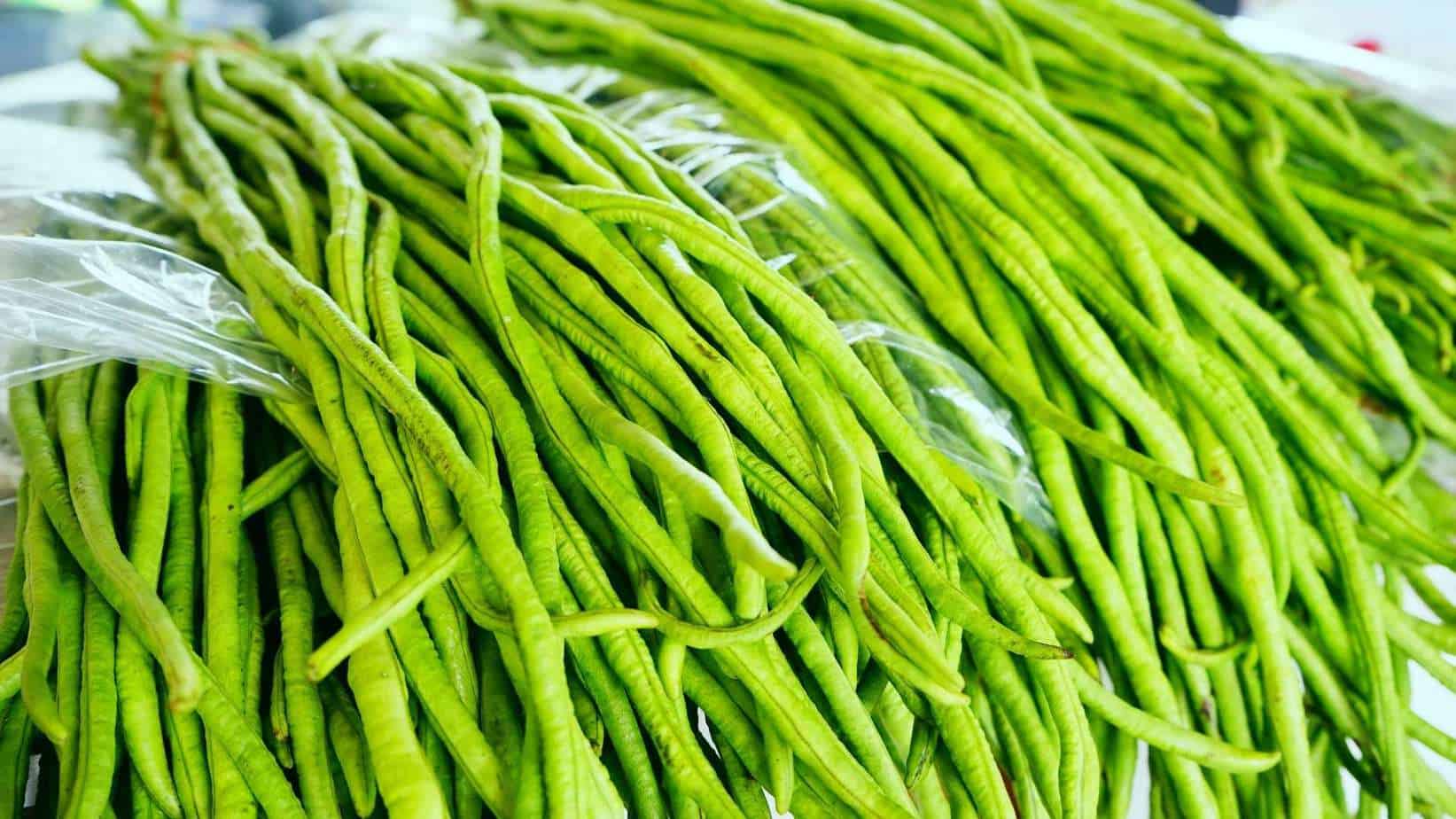 Chinese Long Bean