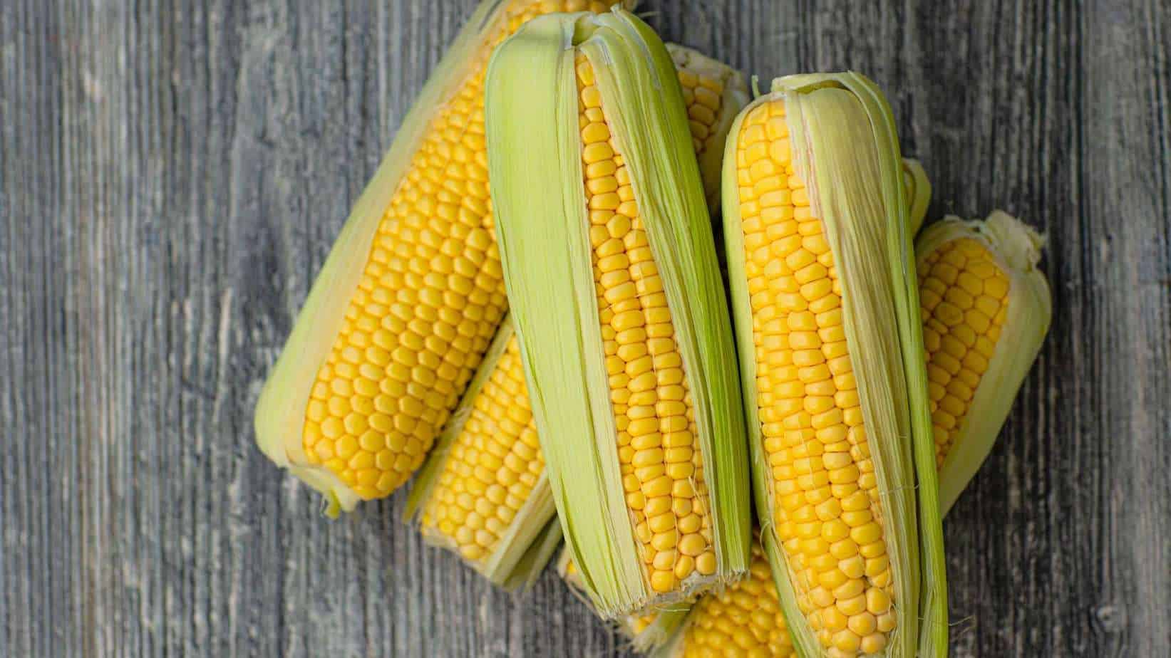 Corn