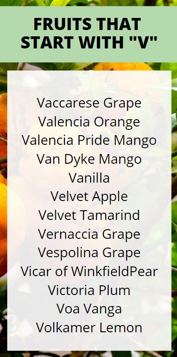 Fruits that Start with V