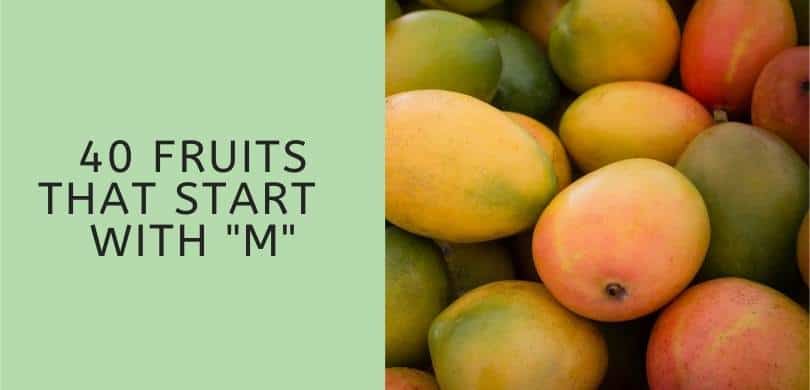 Fruits that start with M