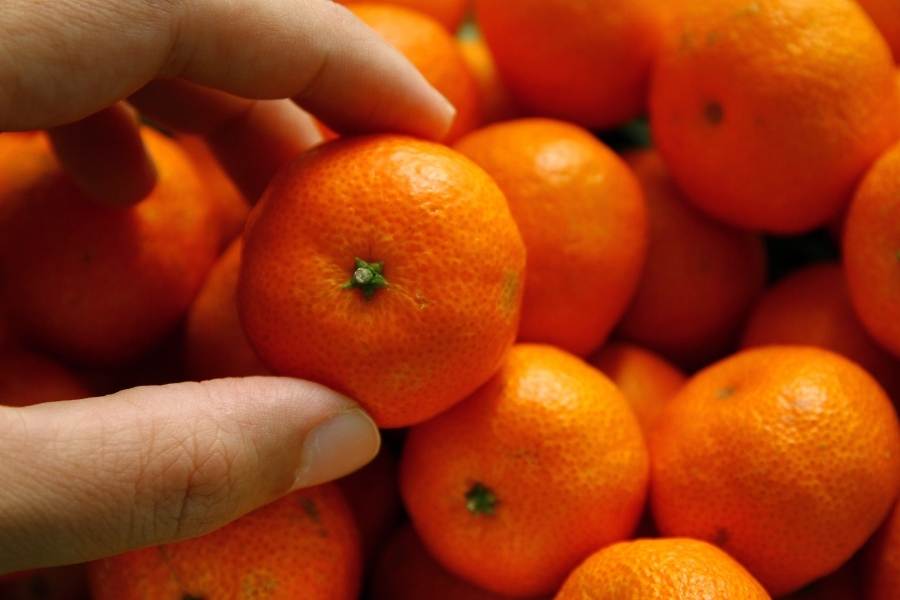 Mandarin orange