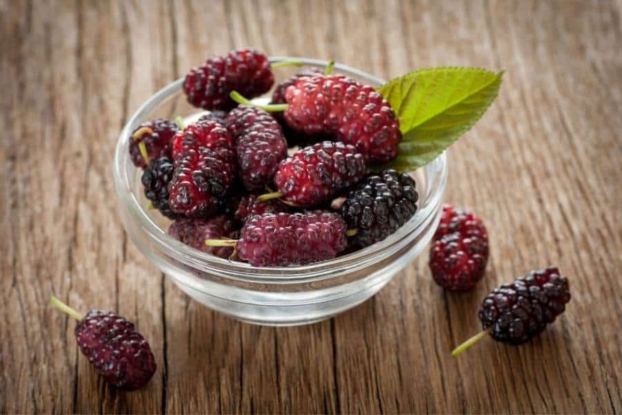 Mulberries in a bowl