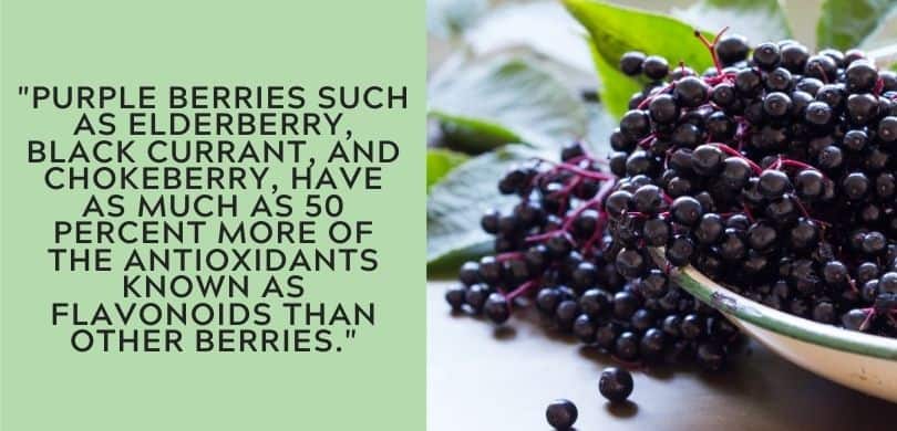 Elderberries