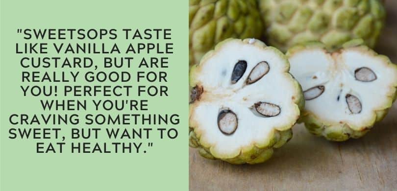 Sweetsop Trees