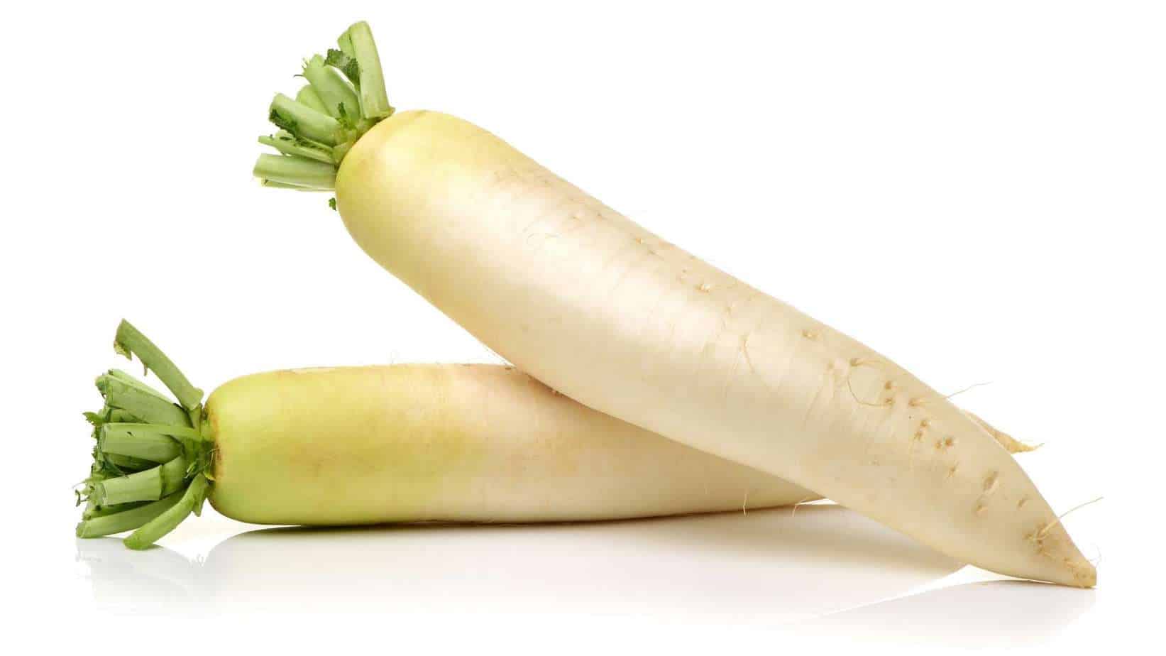 Chinese Radish