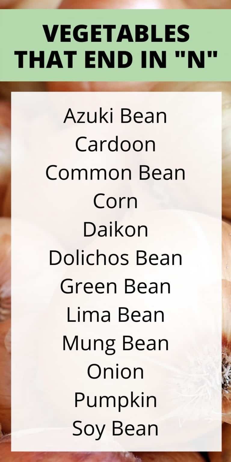 12 Vegetables That End In N Complete List 