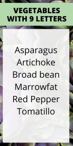 VEGETABLES with 9 letters