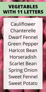 VEGETABLES with 11 letters