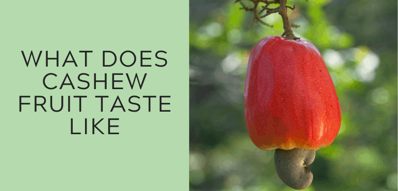 What Does Cashew Fruit Taste Like