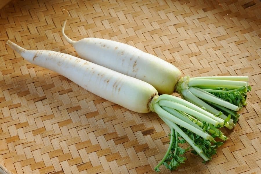 daikon