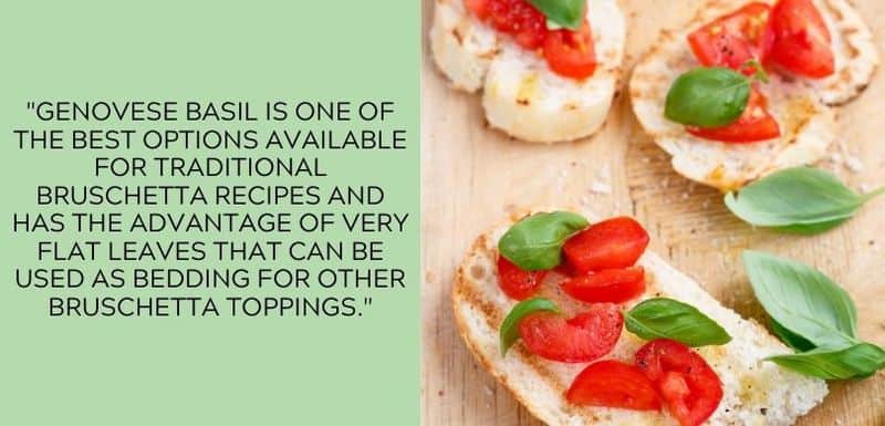 Genovese basil for bruschetta