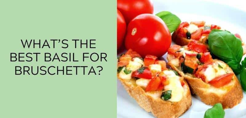 What’s the Best Basil for Bruschetta