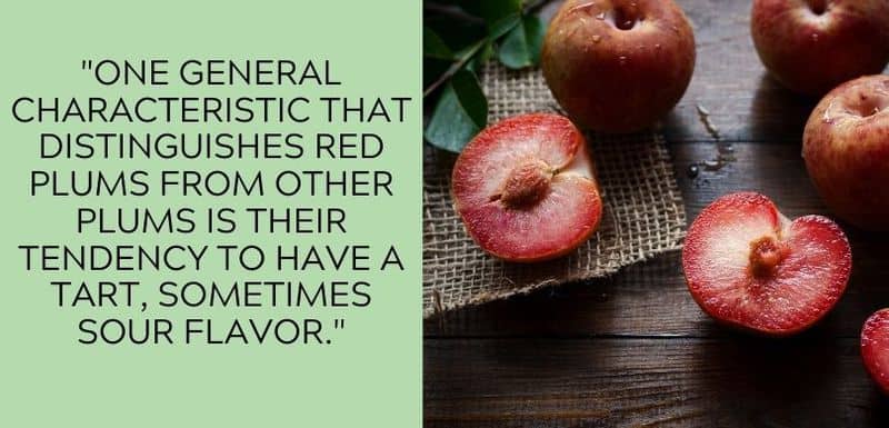 red plums
