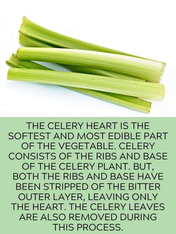 Celery 04