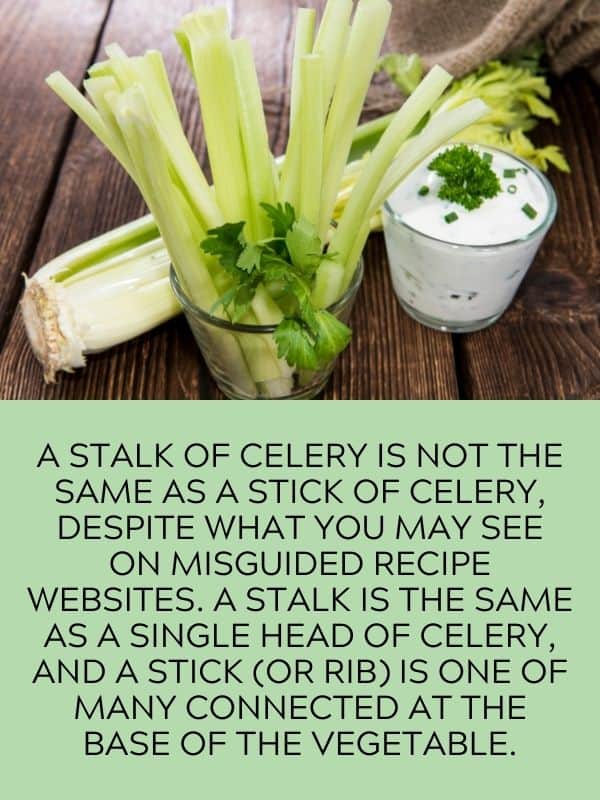 Celery Stick 03