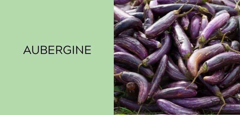 Aubergine
