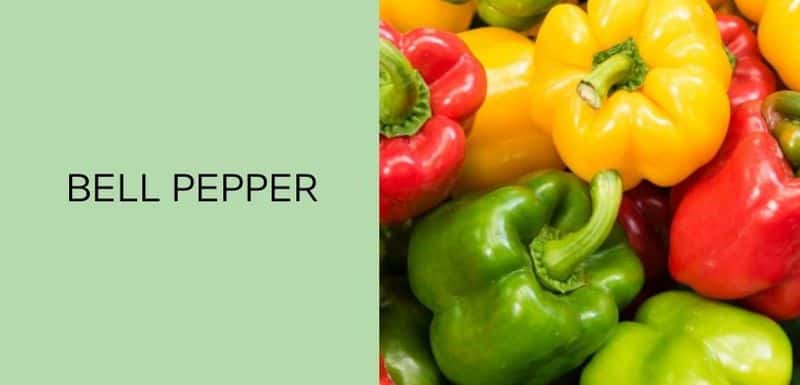 Bell Pepper