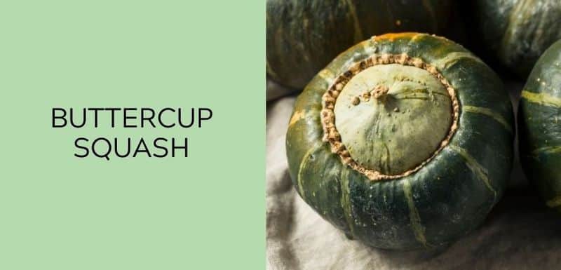 Buttercup squash