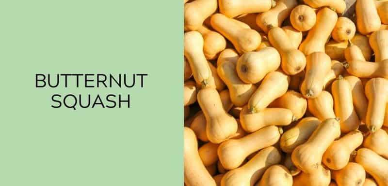 Butternut Squash
