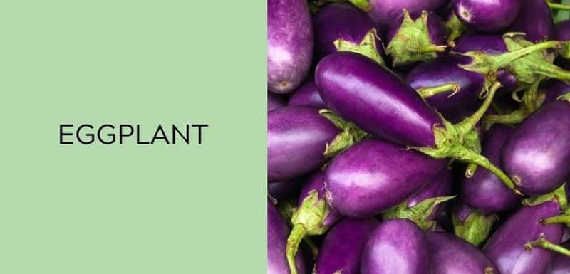 Eggplant