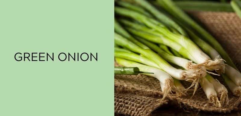 Green Onion