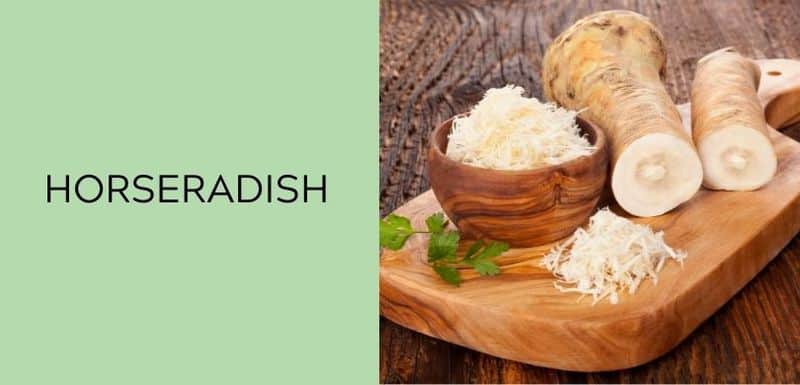 Horseradish