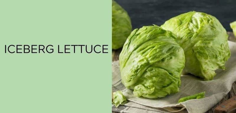 Iceberg Lettuce