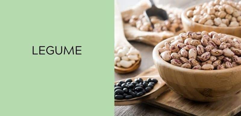Legume