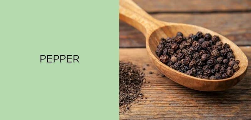 Pepper