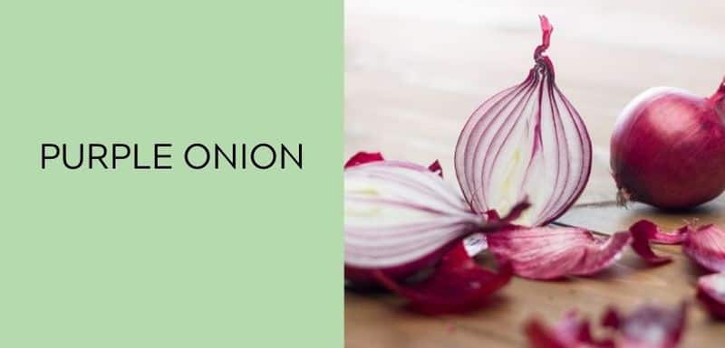 Purple Onion
