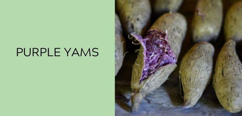 Purple Yams