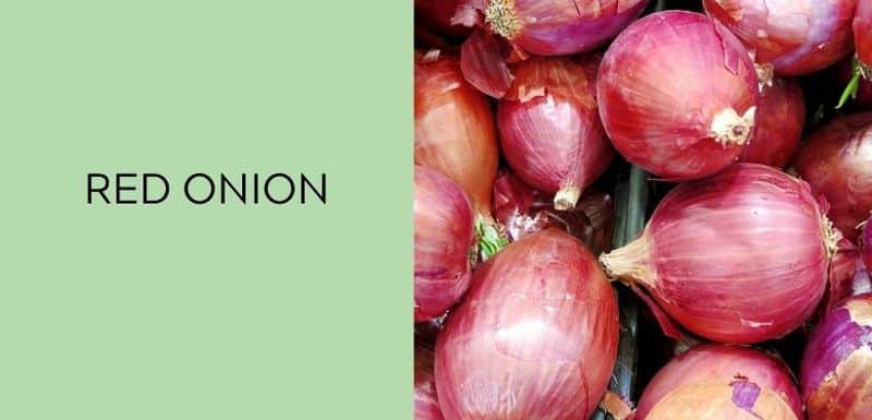 Red Onion