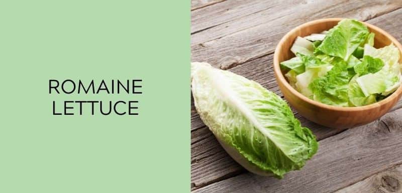 Romaine Lettuce