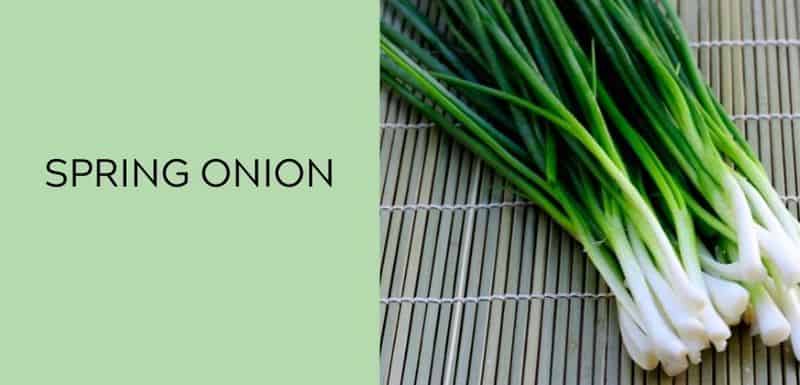 Spring Onion