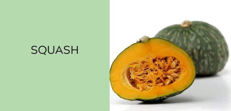 Squash