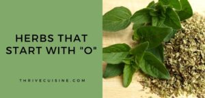 herbs that start with o