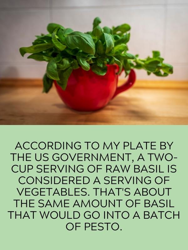 cup of basil