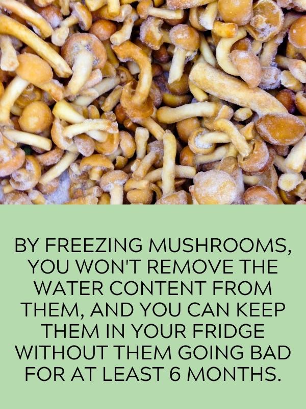 frozen mushrooms