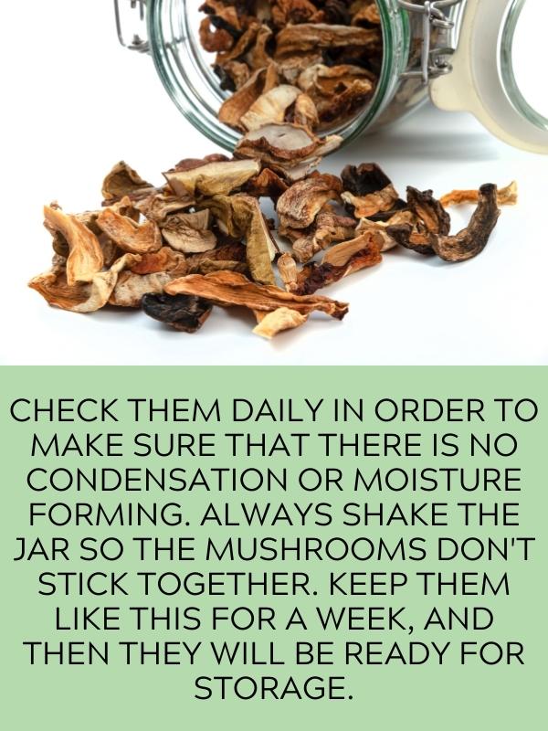 jar of dried mushrooms