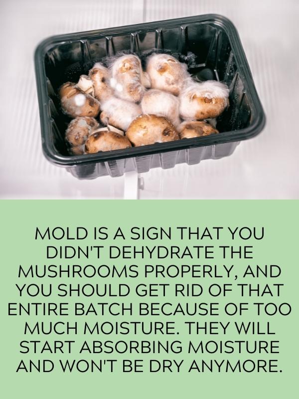 mold in mushrooms