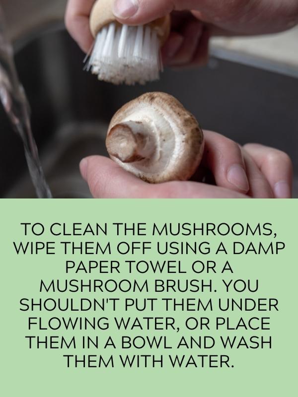 mushroom brush